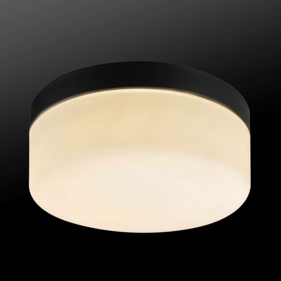 Outdoor Lighting * | Mark 1-Light Black Led Outdoor/Indoor Integrated Flush Mount Ceiling Light With Frosted Glass Shade By Globe Electric